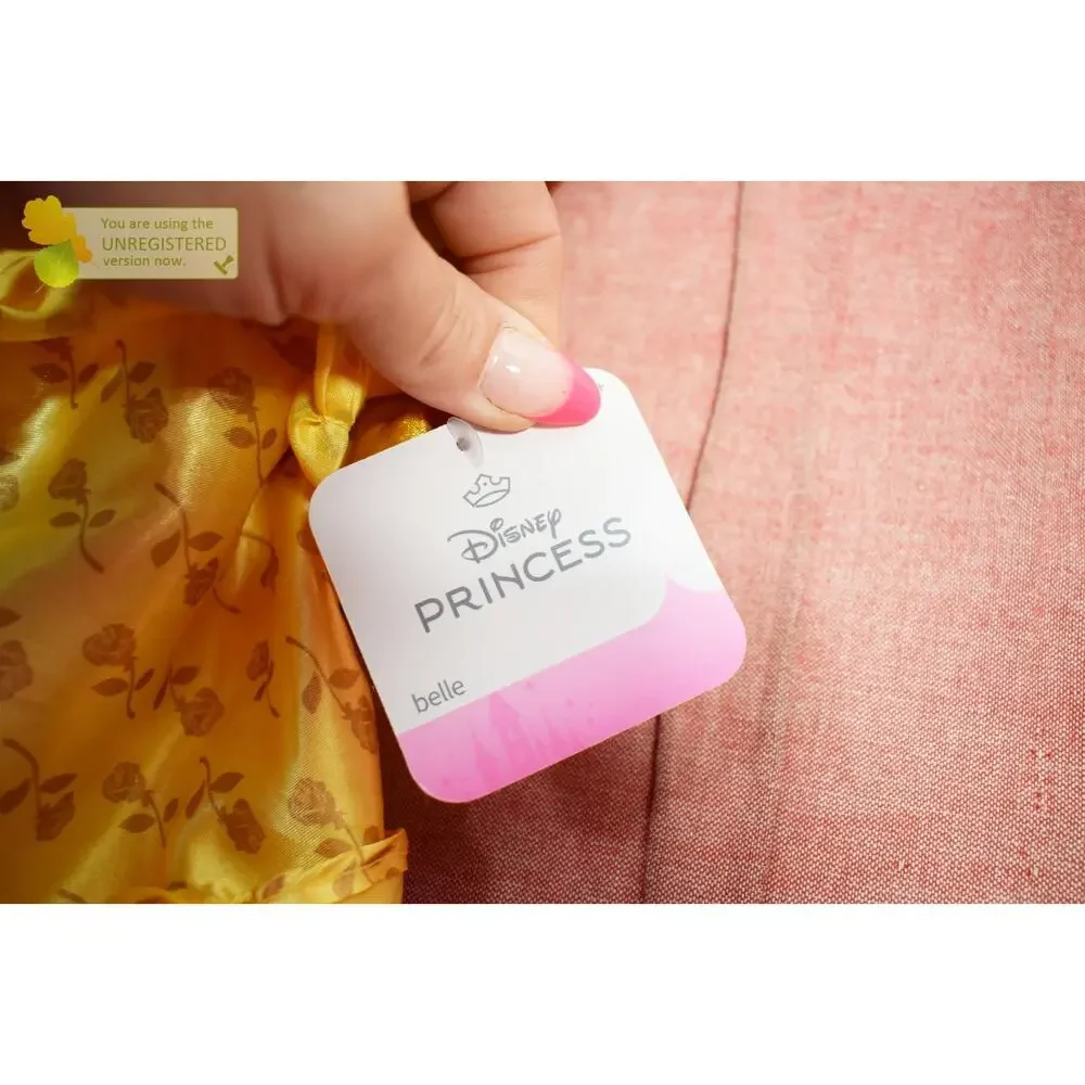 Disney princess signature